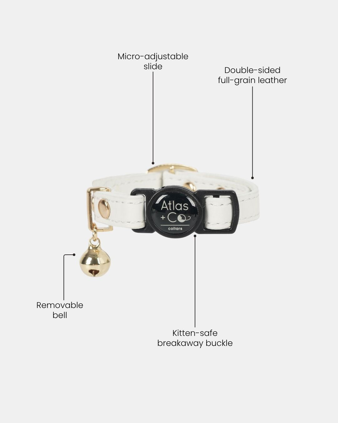 White leather Atlas + CO dog collar with a black buckle, gold bell, and gold hardware, shown with feature callout labels on a light gray background. #colour_ivory