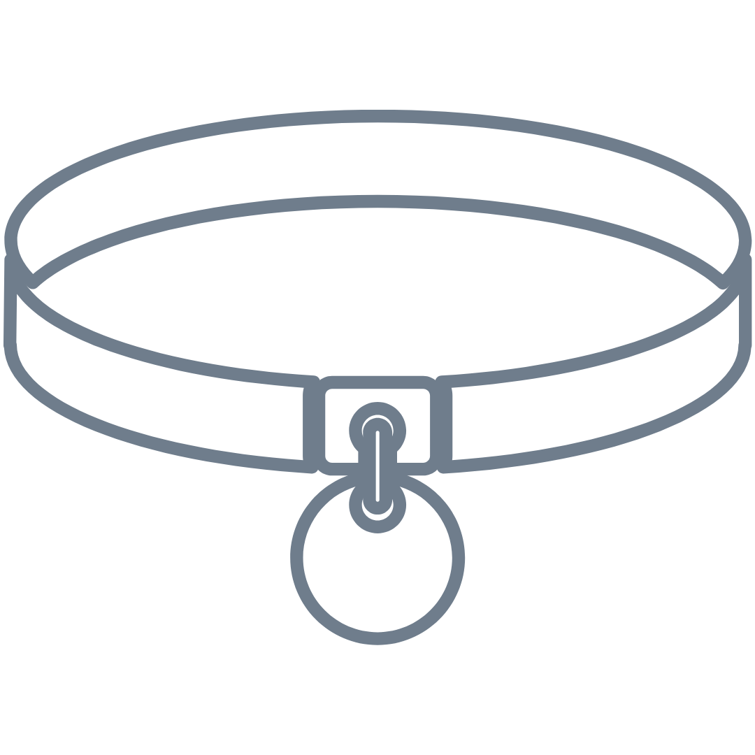 Thin choker collar with a small round tag on a white background