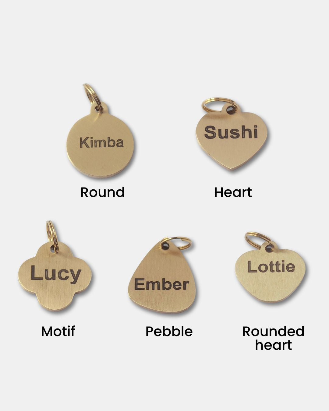 Signature Collar + Tag Set – Adult