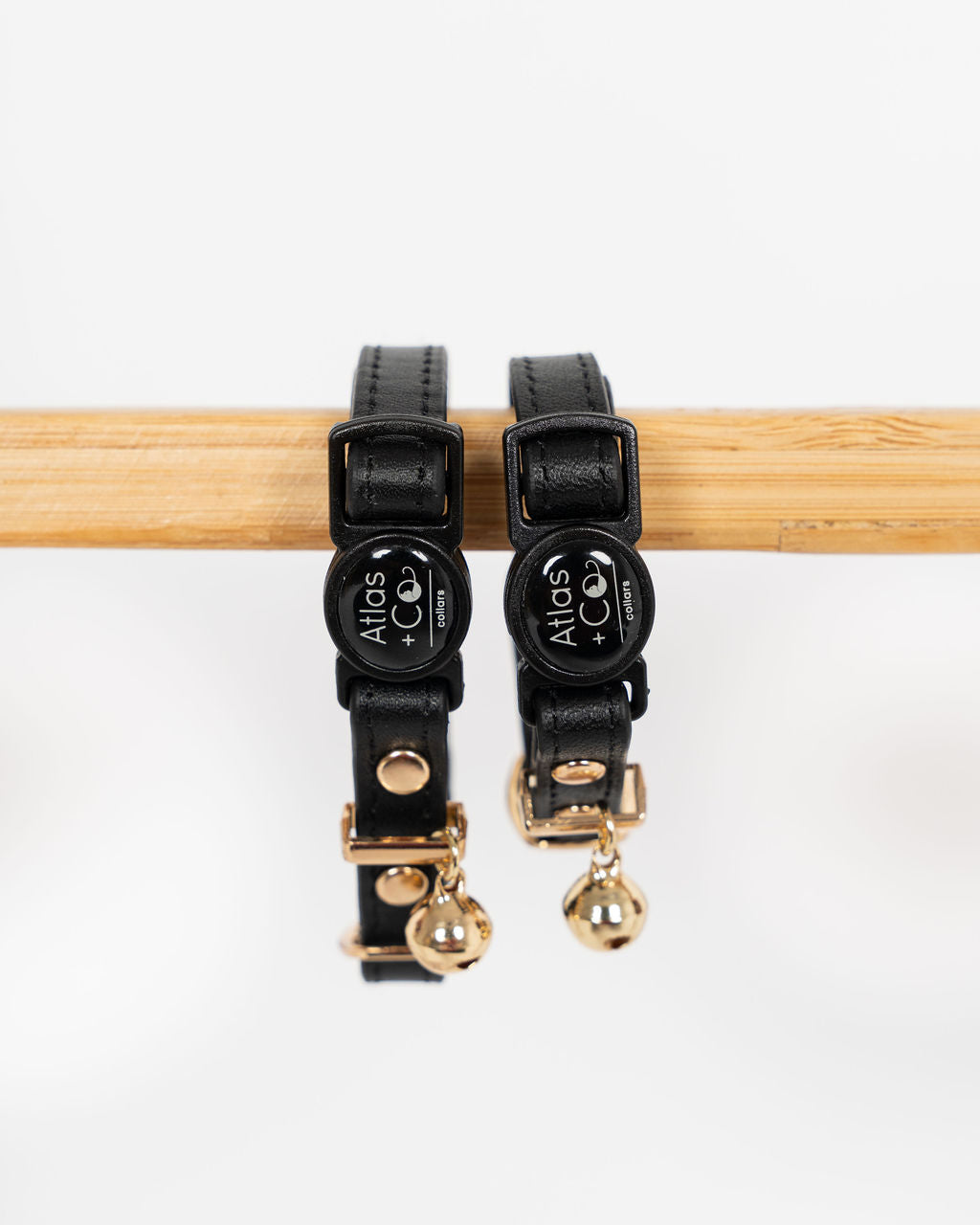 Black cat collars with gold bell on white background #colour_panther