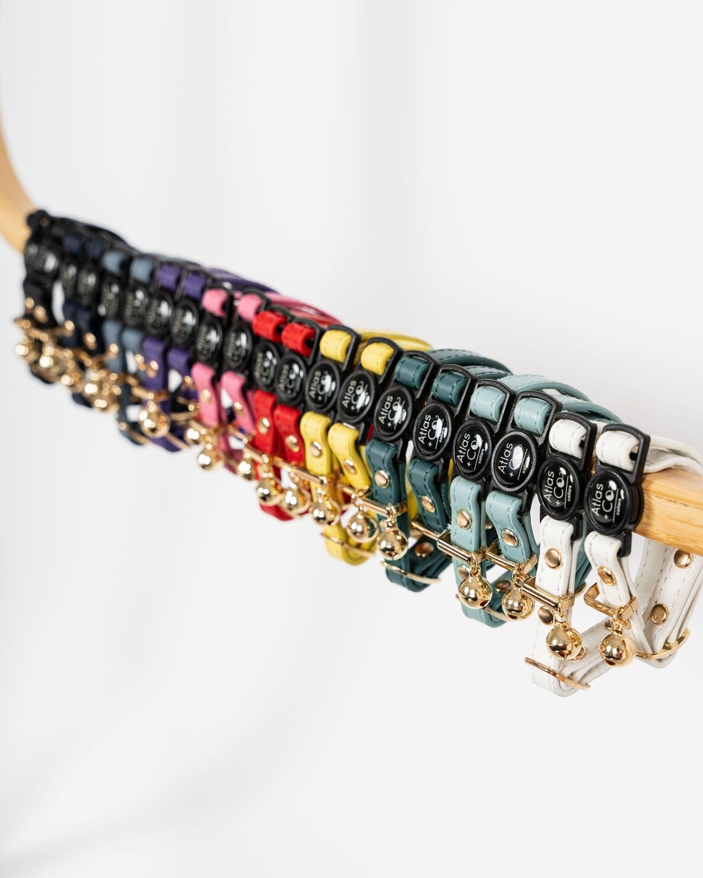 Colorful leather cat collars with metal hardware on a white background