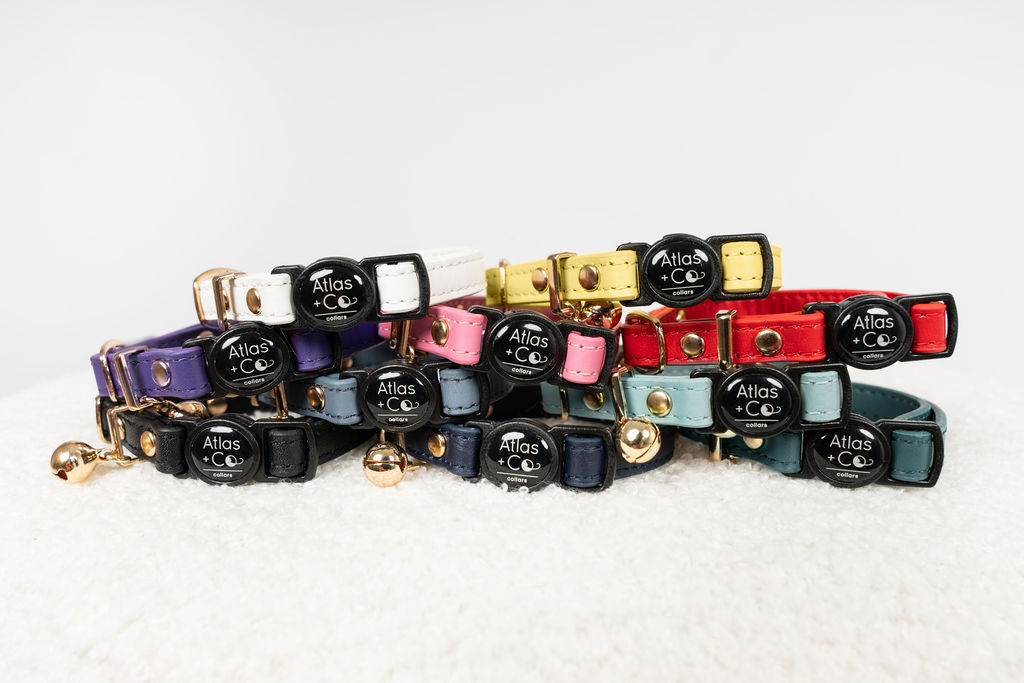 Collection of colourful cat collars on a white background