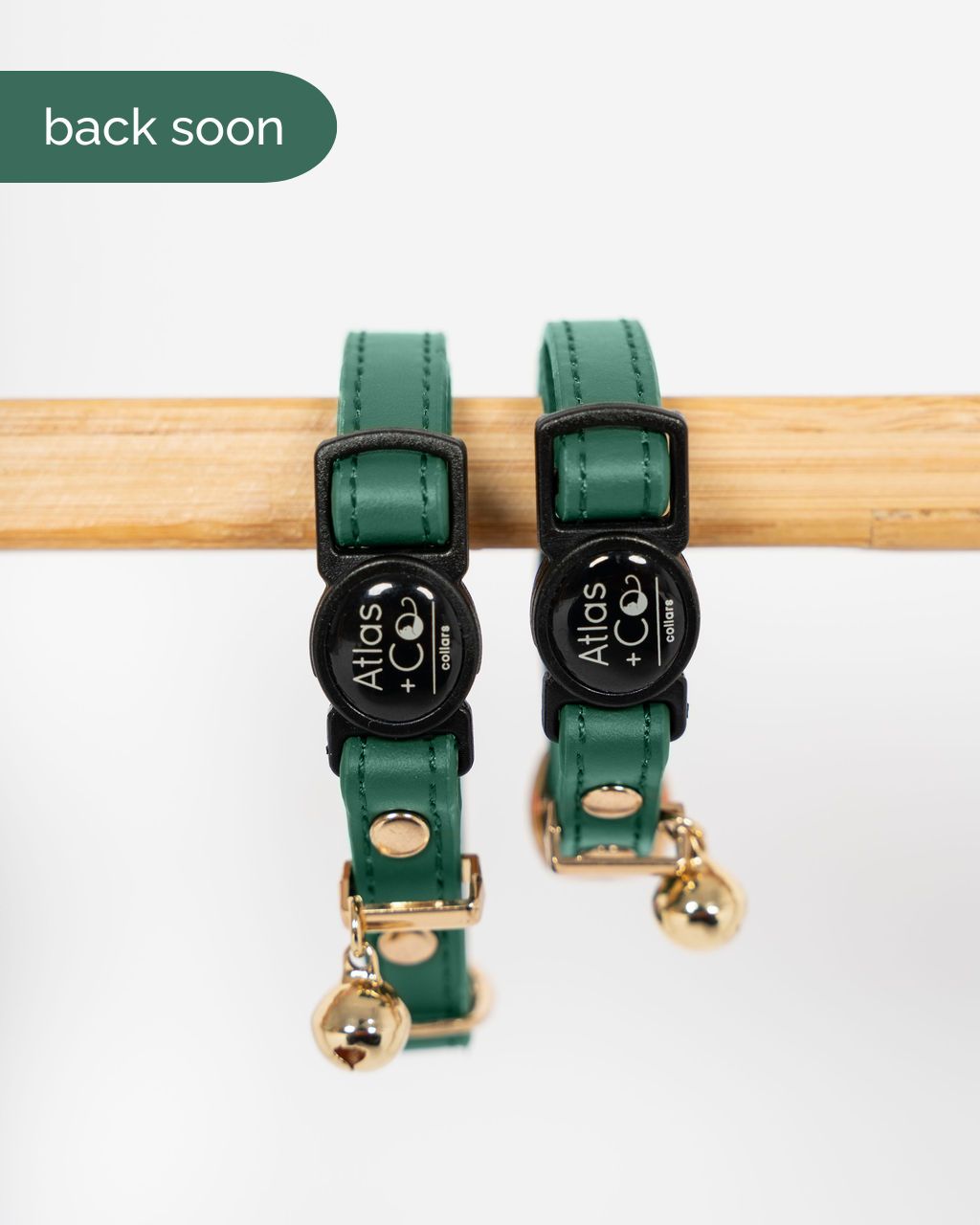 Two green pet collars with black clasps and gold bells on a white background. #colour_botanica