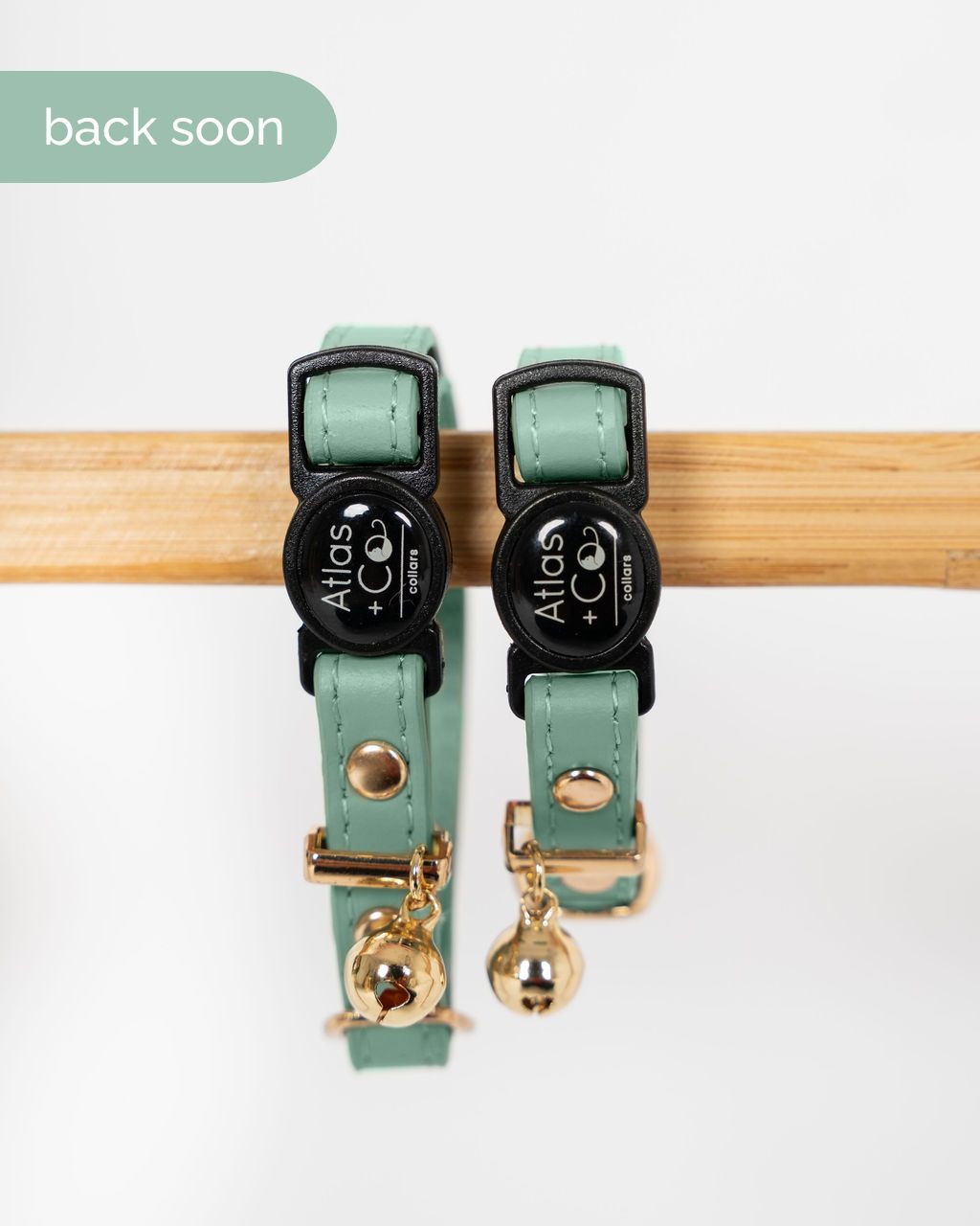 Sage cat collars with gold bells on a white background #colour_sage