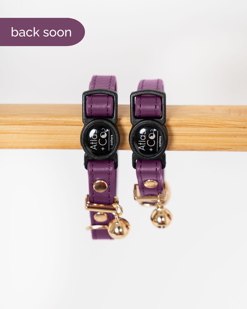 Purple cat collars with gold bell on a white background #colour_mulberry