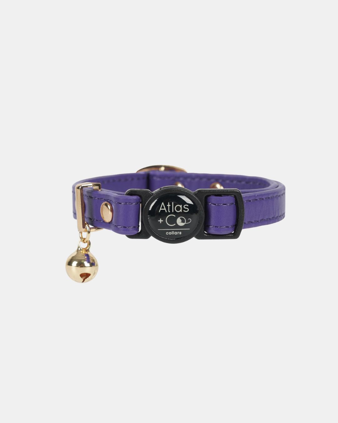 Purple cat collar with a gold bell and black tag on a white background #colour_muse
