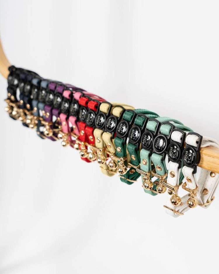 Colorful leather cat collars with metal hardware on a white background