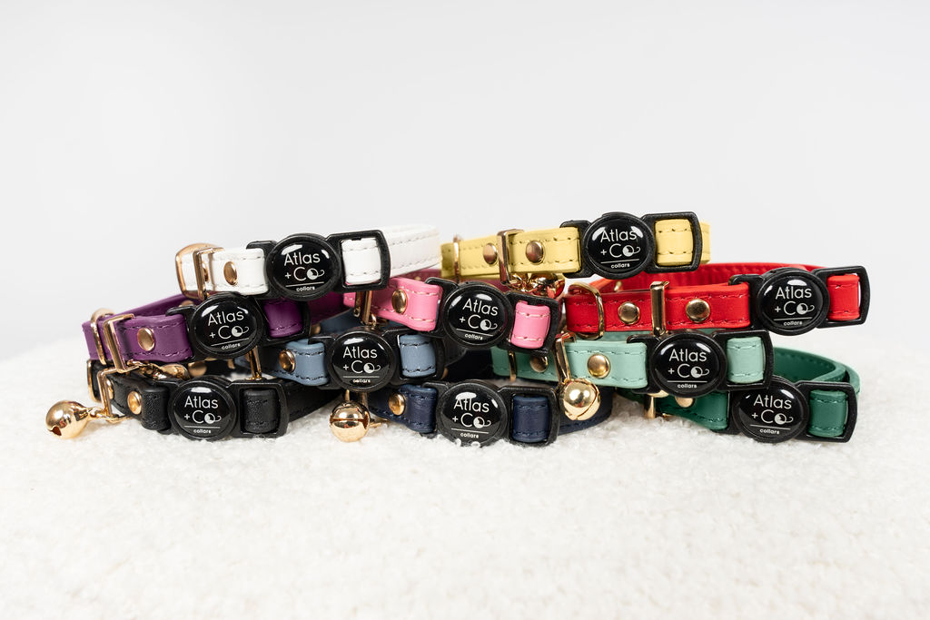 Collection of colourful cat collars on a white background