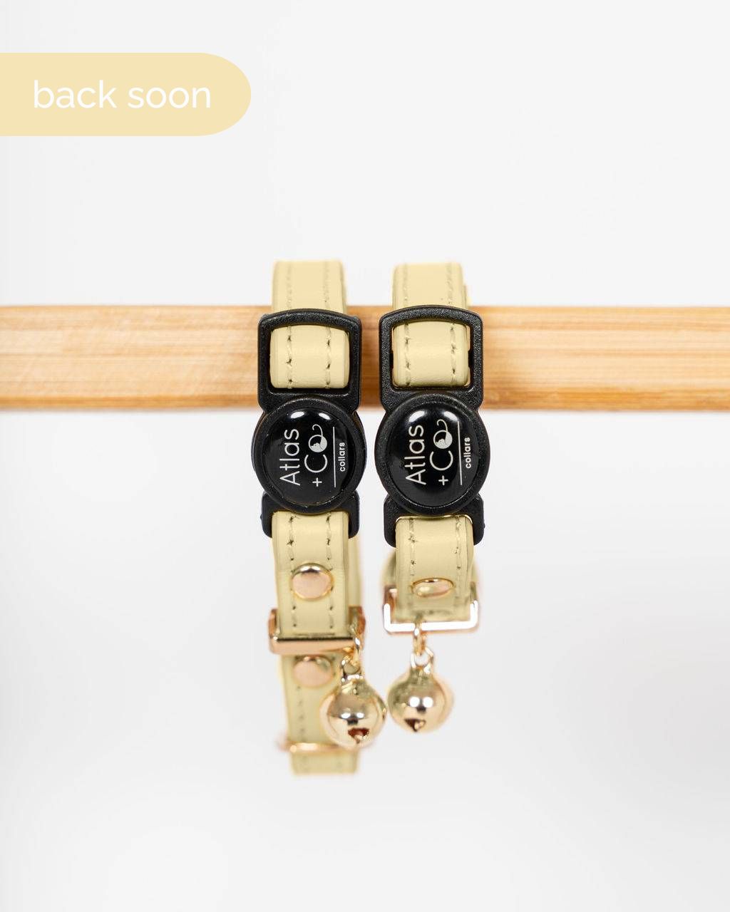 Yellow cat collars with bells on a white background #colour_solenne