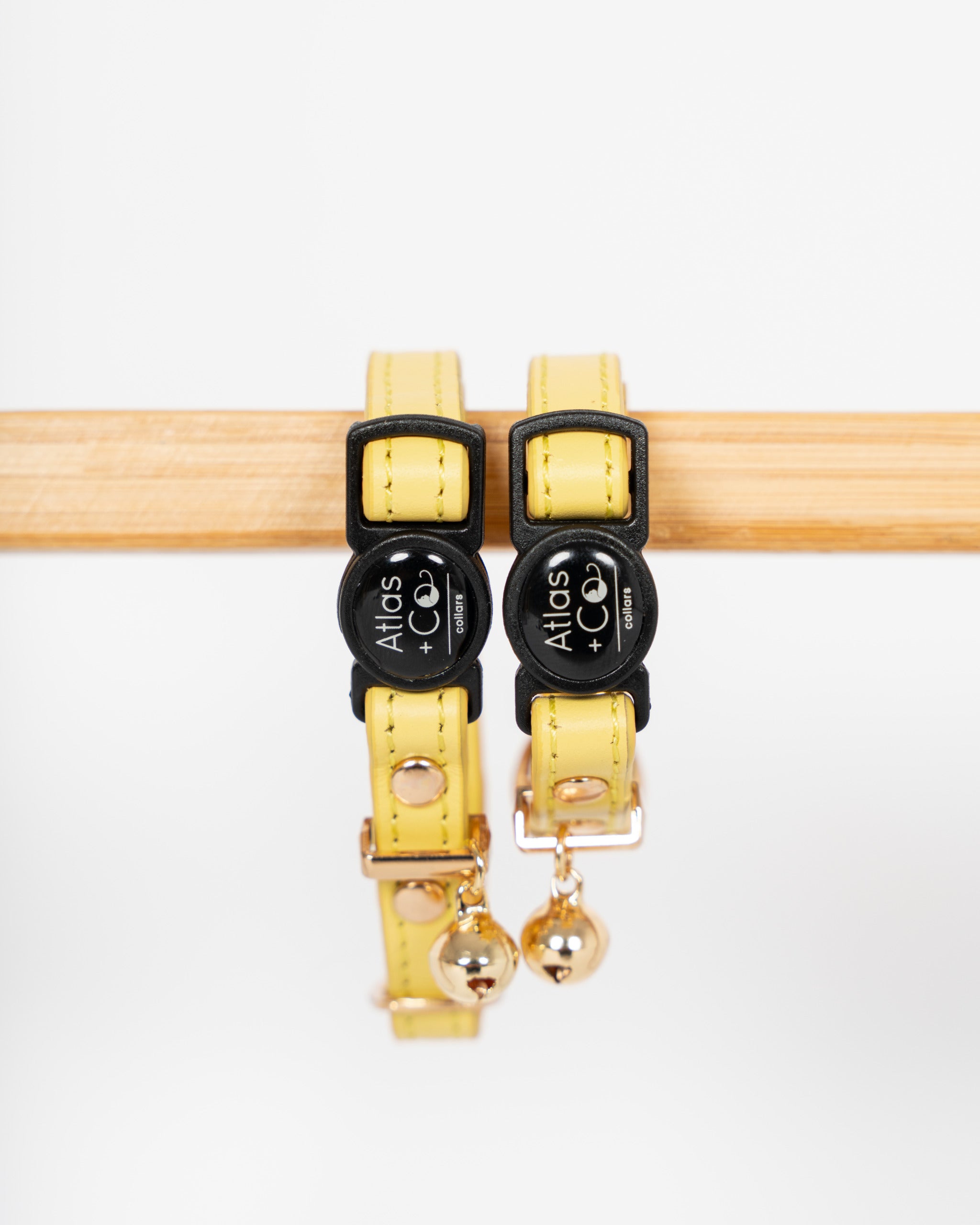 Yellow cat collars with black buckles and gold accents on a white background #colour_solenne