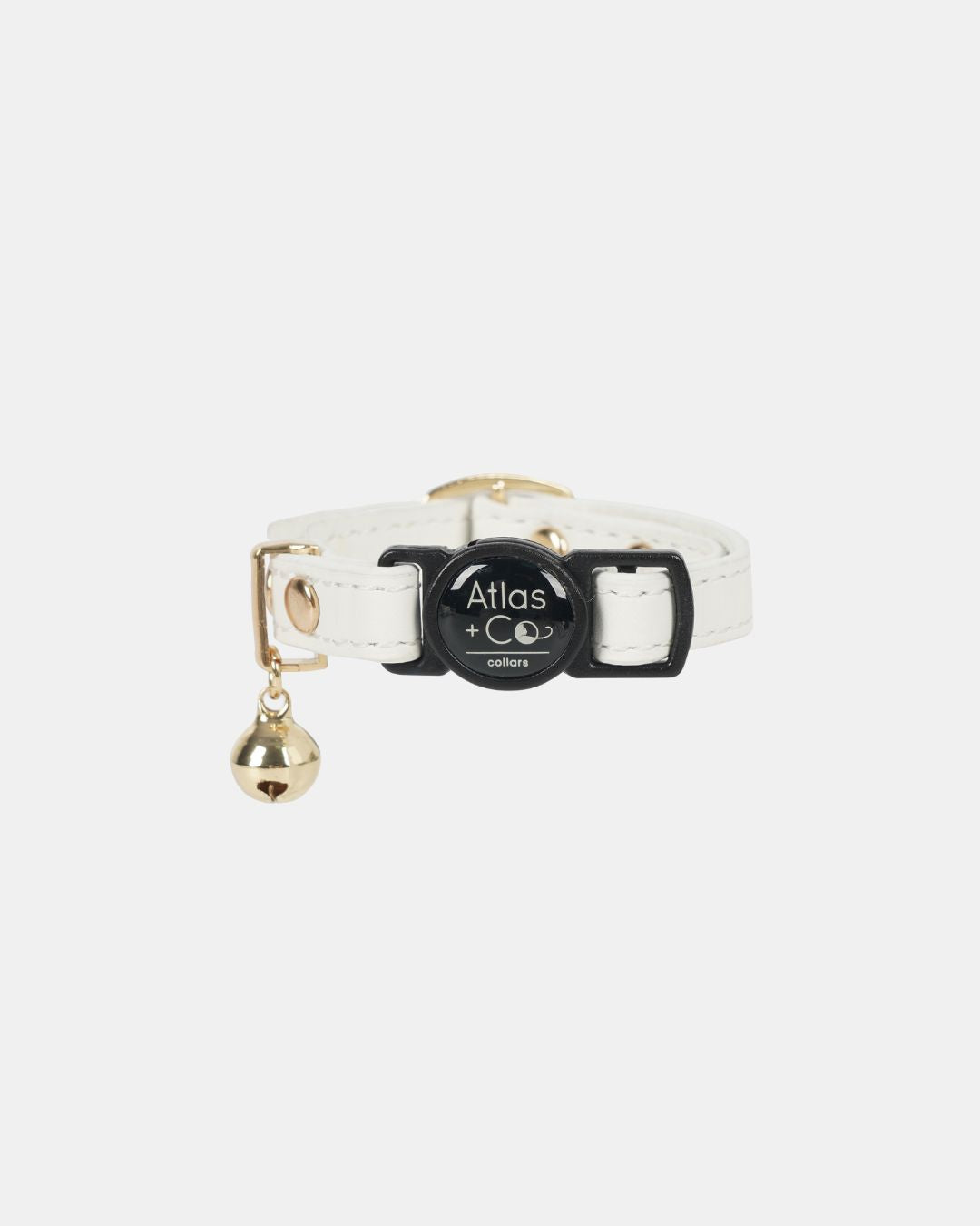 White cat collar with gold bell and black buckle on a white background #colour_ivory