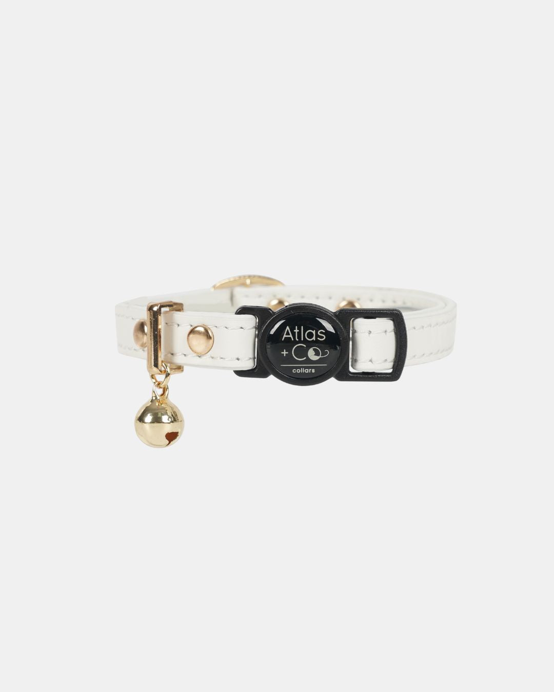 White leather cat collar with gold bell and black buckle on a white background #colour_ivory