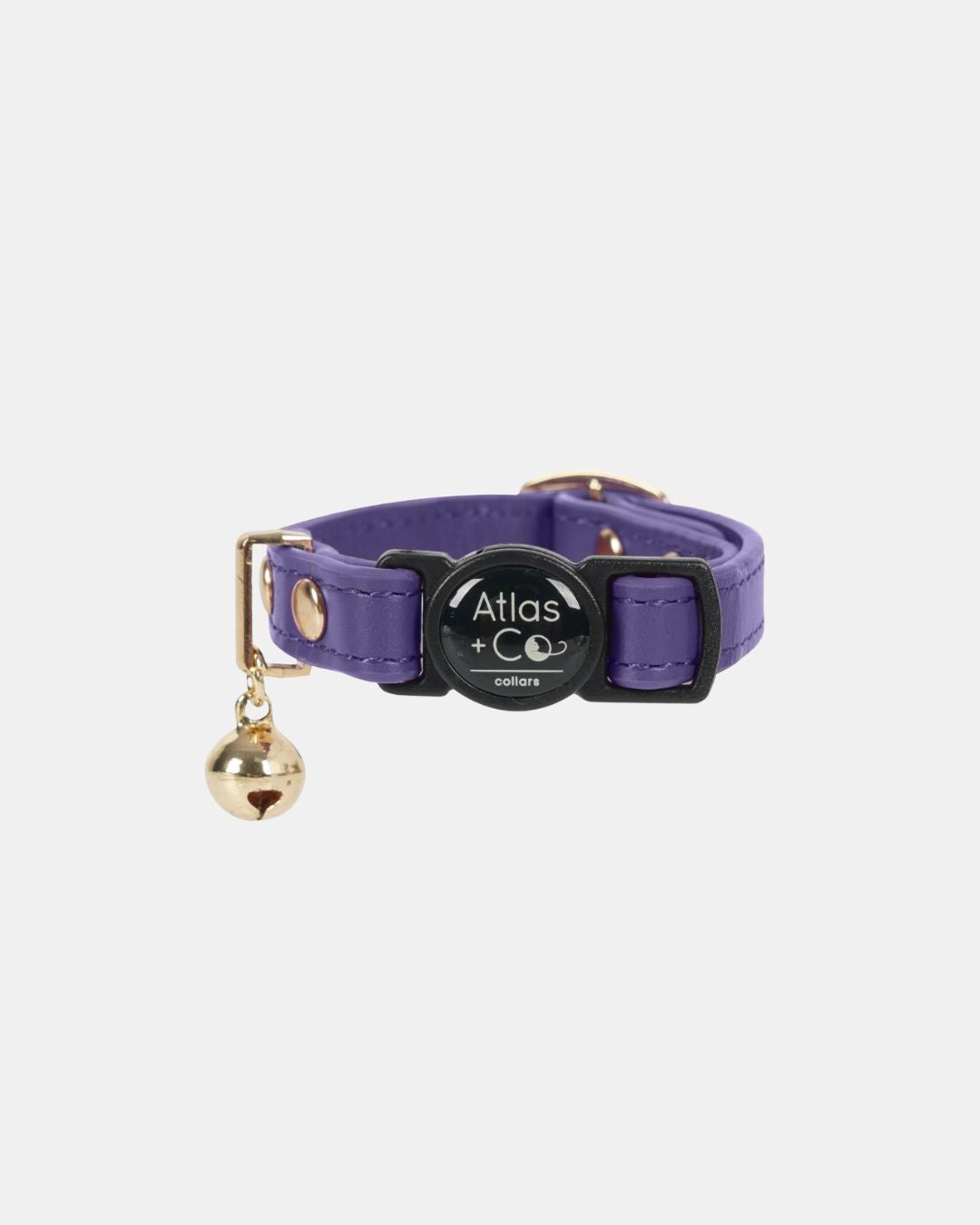 Purple kitten collar with a gold bell on a white background #colour_muse